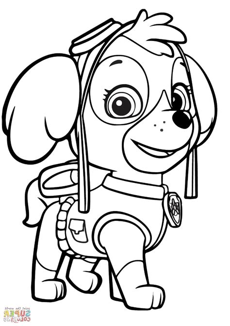 skye paw patrol para colorear|paw patrol skye para pintar.